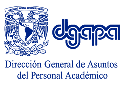 Diseño de pagina para la DGAPA de la UNAM
